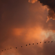 Image for article titled The Myth of ‘Clean Coal’ Might Finally Die
